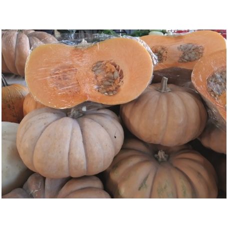 Musque de Provence Mini