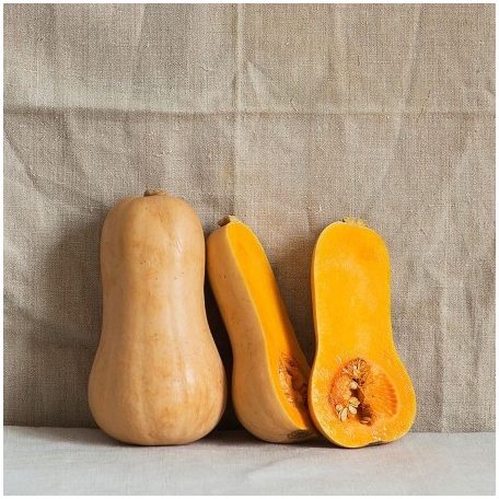 Butternut