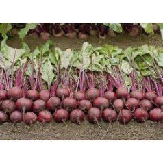 Bikores  precíziós mag