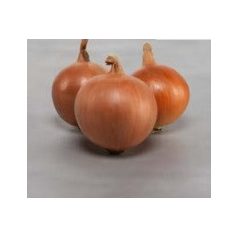 Veleta F1  preciziós mag