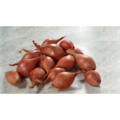 Innovator  F1  preciziós mag