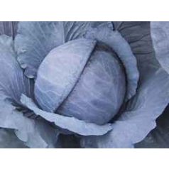 Alfaro F1 precíziós mag