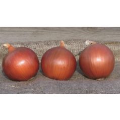 Legend F1 precizíós vetőmag