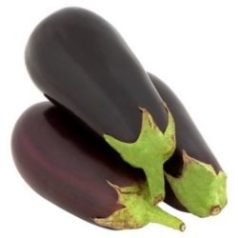 Padlizsán (Tojásgyümölcs)
