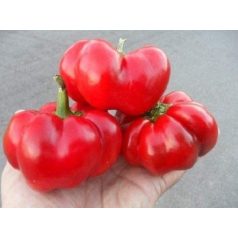 Paprika Paradicsom paprika