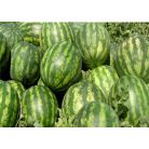 Boxy F1  precíziós mag