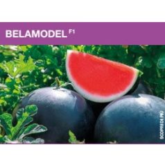   Belamodel F1 magnélküli  előcsíráztatott, precíziós  mag