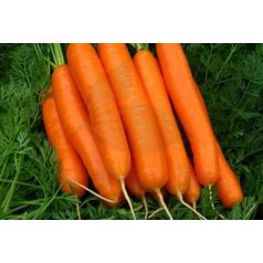 Durance F1  1,8-2,0 mm kalib.