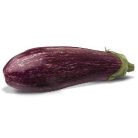 ESMERALDA F1