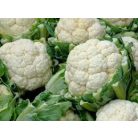 Casper RZ F1  preciziós mag