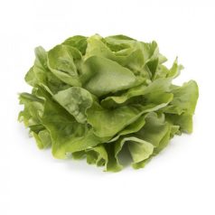 Ulmo RZ    pillírozott mag