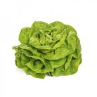 Walha RZ  pillírozott mag