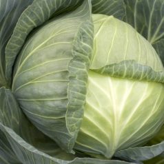 Manessa RZ F1   precíziós mag