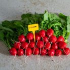 Millon RZ F1 precíziós mag 