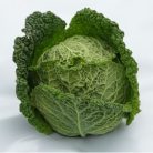 Atractum F1   preciziós mag