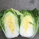 Kilakin F1    precíziós mag