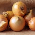 Bosko F1  preciziós mag