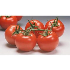 Climberley F1  precíziós mag