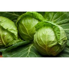 Jetodor F1  precíziós mag