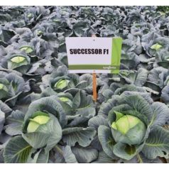 Succesor F1  precíziós mag