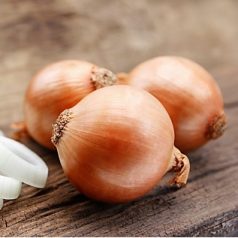 Disko F1  preciziós mag