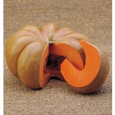 MUSQUEE D’HIVER DE PROVANCE