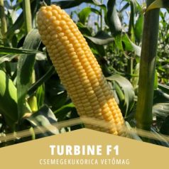 TURBINE F1 "csávázatlan"