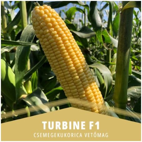 TURBINE F1 "csávázatlan"