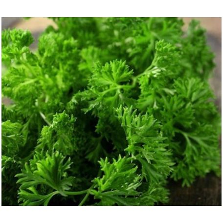 CHEROKEE precíziós