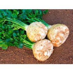 MONARCH pillírozott, előcsíráztatott