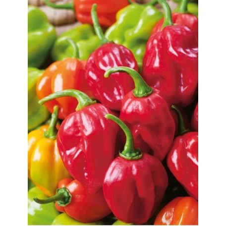 HABANERO RED 
