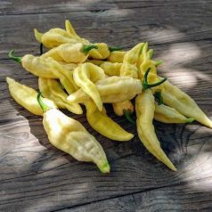 BHUT JOLOKIA WHITE 