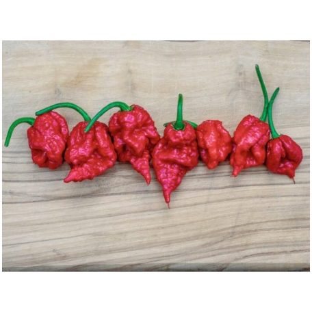 CAROLINA REAPER RED