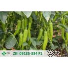 SAHARA F1 (ZKI 09135-334 F1)