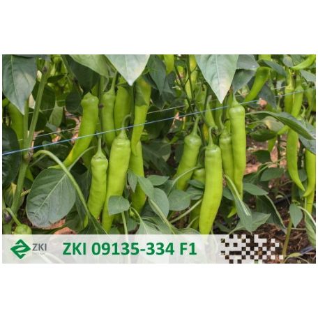 ZKI 09135-334 F1